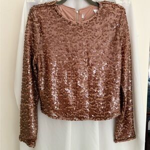 Astr the label Rose Gold Sequin Blouse size L